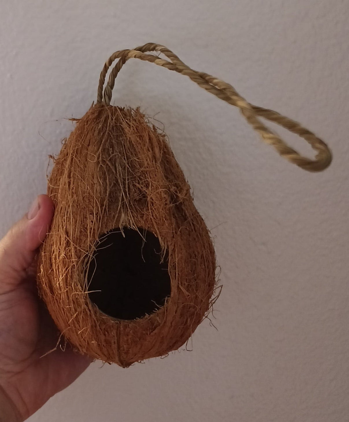 Hanging coconut hide