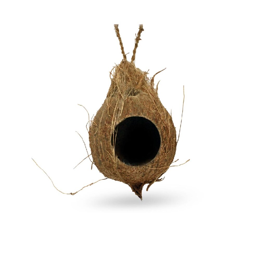 Hanging coconut hide